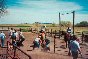 A Sleep in the Hay: Agritourism Rising in Popularity Image